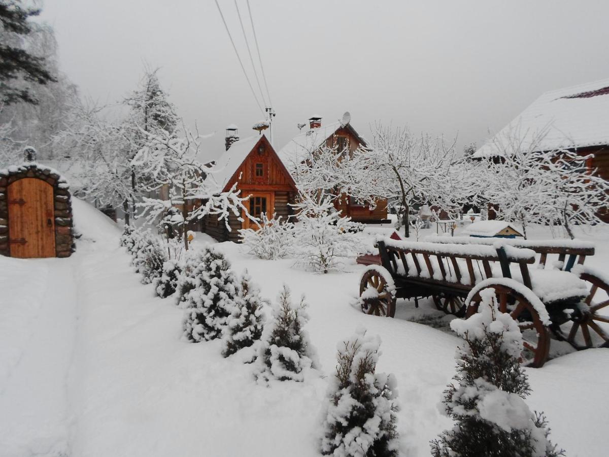 Agrousad'Ba Okolitsa Hotel Shchibri ภายนอก รูปภาพ